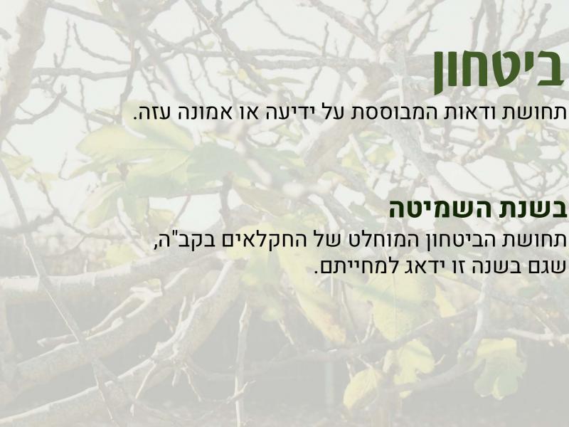 ערכת שמיטה